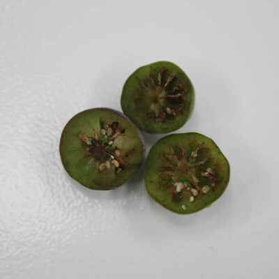 Green Fruit Drop Internal — Green Fruit Drop (GFD)